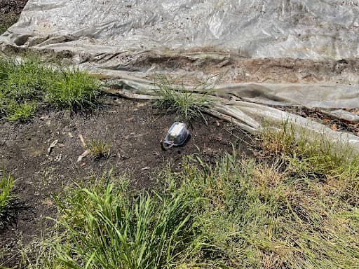 Deployment on Star Route Farms